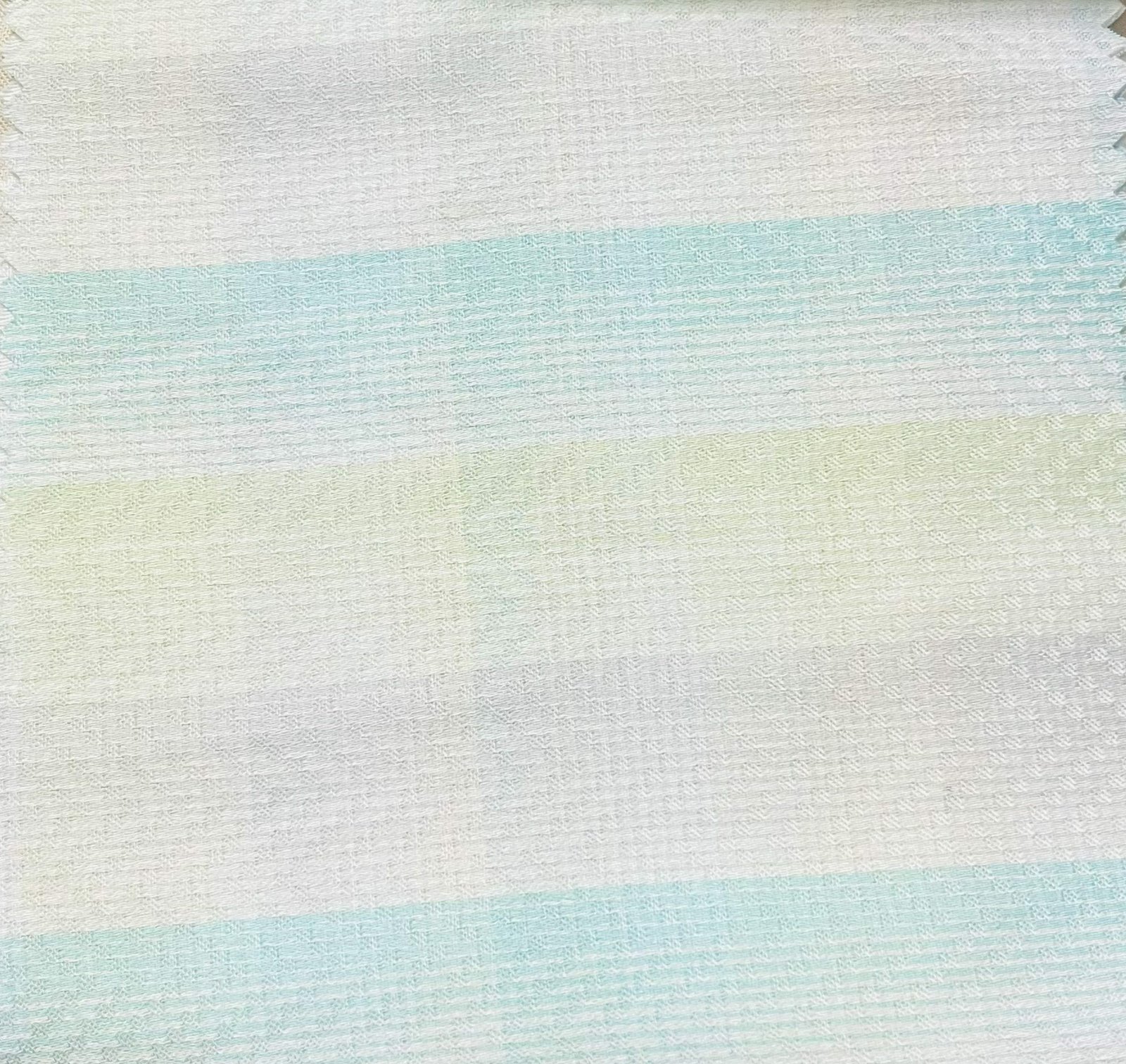 31