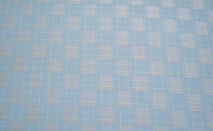 China Check Cotton